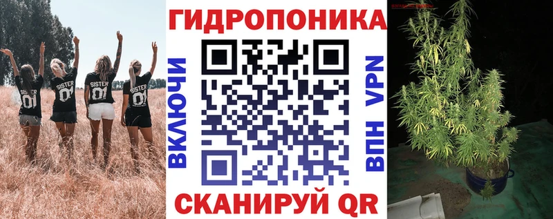 где продают наркотики  Дивногорск  Каннабис план 